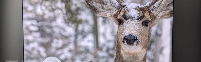 These are the 5 best TVs I tested in 2025, from flagship OLEDs to affordable mini-LEDs