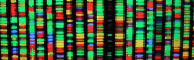 Scientists Launch Wild New Project to Build a Human Genome From Scratch