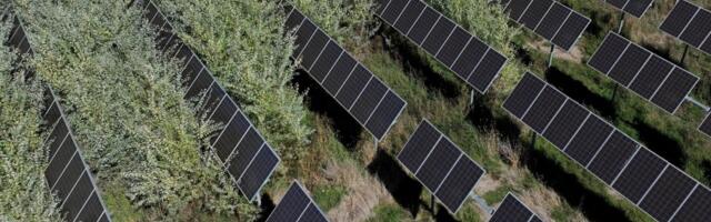 Napa Valley College’s $7.5 million solar field was once a model. Now it sits dead in the weeds