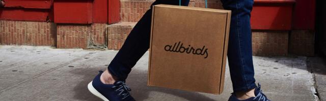 Allbirds Is Pivoting to AI Compute. Sure, Why Not