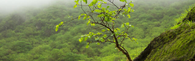 Ask Skift: Is Travel Sustainable?