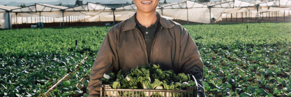 DST Global pumps $35 million into Asian e-grocer Weee!