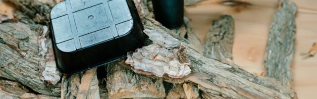 How circular economy startup Bpacks is utilising bark to reduce plastic waste