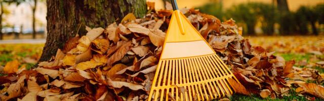 Here's What You Should Consider Before Buying A Lawn Sweeper