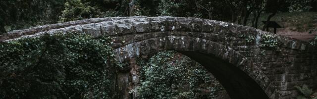 Bitcoin Liquidity Could Flow to Cardano Ecosystem With New BTC Bridge