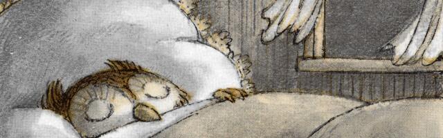 The weird, joyful book that’s getting me through this winter