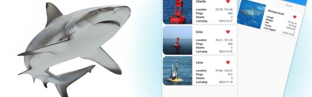 Как мы помогали Стэнфорду следить за акулами