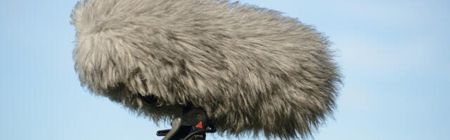 Why Do Some Microphones Have Fuzzy Covers?