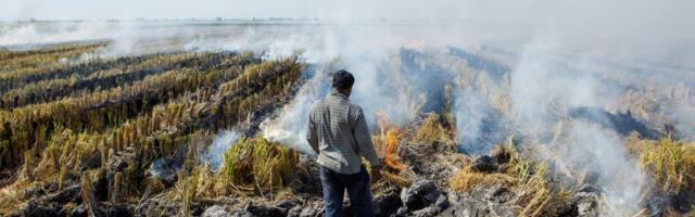 A big El Niño is looming. Here’s what it means for our weather.
