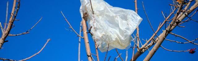 ‘Trader Joe’s policy’: New bill may eliminate plastic bags in California entirely