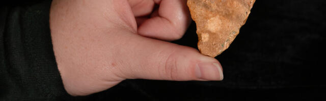 Stone tools may hint at ancestors of Homo floresiensis