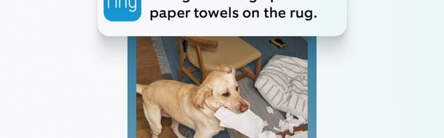 Ring uses generative AI to cut down on unnecessary alerts