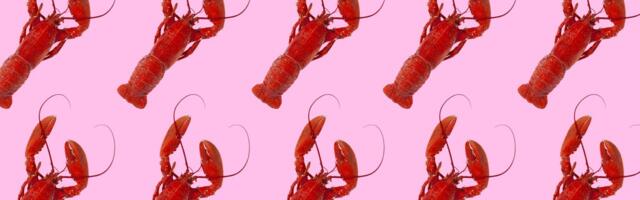 From lobster hats to claw hands: OpenClaw's internet moment