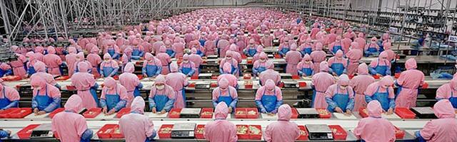 ИТ вам не завод: почему на разработку продукта всегда нужно «слишком много» времени