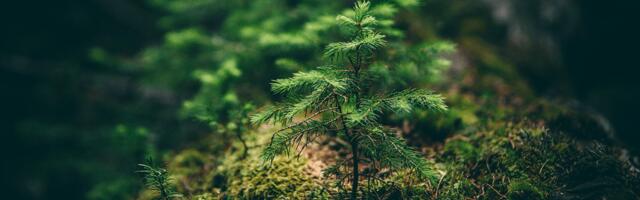 We need to make sustainability easier for Europe’s founders