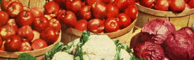 How to keep your CSA produce from rotting in your refrigerator