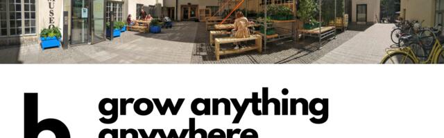 Blokgarden aims to conquer urban farming in 2022 with smart solutions