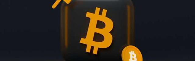 The Rise of Blockchain Domains