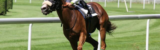 How Technology has Changed Horse Racing