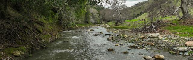 Save Mount Diablo acquires 98-acre Schwendel Ranch in “landmark conservation victory”