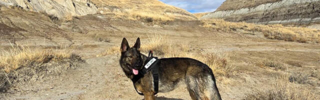 Blackline Safety pairs connected gas detection with K9 leak hunting