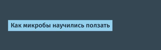 [Перевод] Как микробы научились ползать