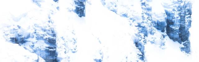 You’ll Never Guess What Animal Is Hiding in This Prize-Winning Photo