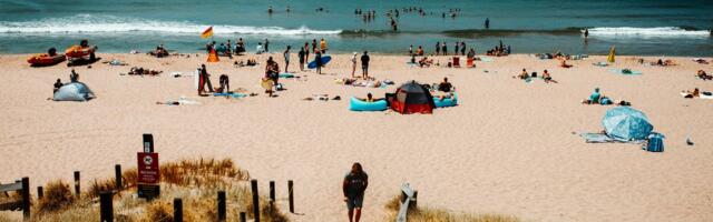 T-Value in Statistics: What It Means and How to Use It