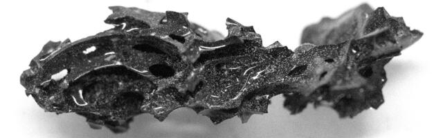 Preserved in Glass: How Mount Vesuvius Locked This Roman’s Brain in Time