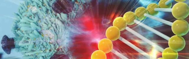 [Перевод] Роль соматических мутаций в развитии аутоиммунных заболеваний: путь к избирательной терапии