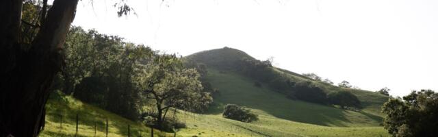 Huge San Jose ranch habitat and preservation effort makes big progress