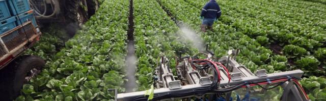 Two women arrested for $3 million embezzlement scheme from Monterey County agriculture company