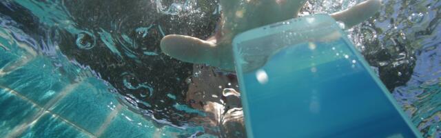 Your phone is the key to your digital life. Make sure you know what to do if you lose it.