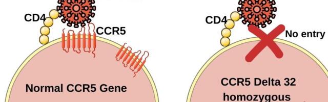 Кроим ДНК на Python — CRISPR gRNA finder, Часть II: Скоринг, off-target и реальный ген