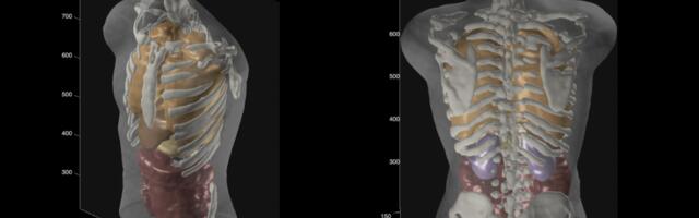 Something’s off with Midjourney’s pivot to body scanners