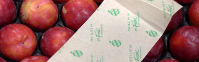 It’s Fresh gathers £6.7m to delay food decay