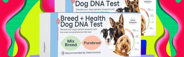 Basepaws Pet Test Kits Are Half Off Right Now (2025)