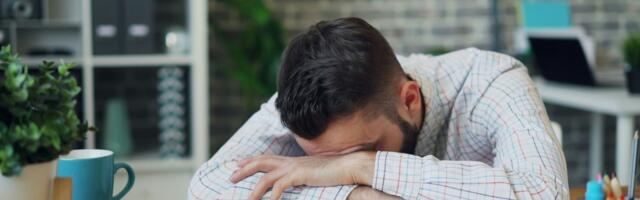 Amsterdam’s OpenUp secures €20 million to expand its employee mental health platform across Europe