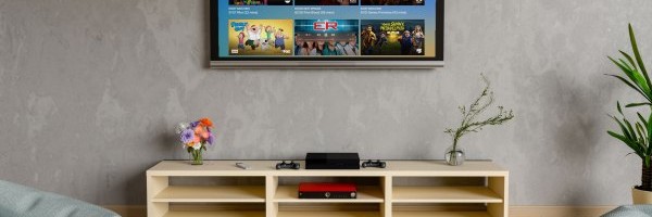 Streaming services face their real test in 2021