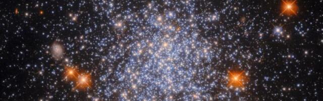 Daily Telescope: A shiny cluster of stars in a nearby galaxy