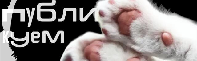 Собираем и публикуем Flutter-апп в AppStore