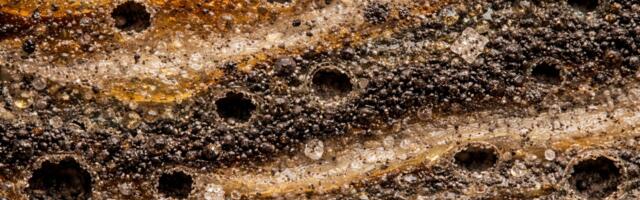 Очистка индустриальных паяльных агрегатов или перспективы трудовой миграции трубочистов