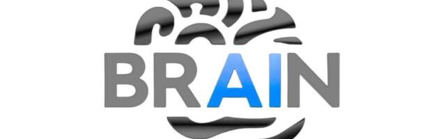 BRAIN: Rethinking how the sales business works