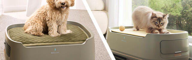 I'm obsessed with this pet bed-air purifier combo that apparently sucks up hair, dander, and pet smells right at the source