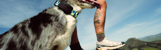 Fi Ultra pet tracker uses T-Mobile's Starlink satellite service for coverage