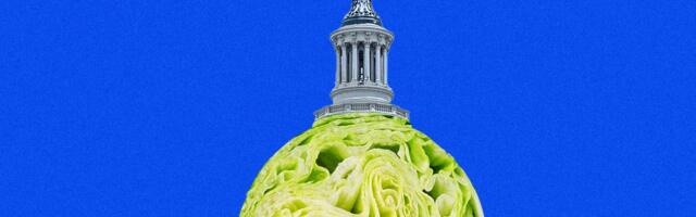 Taylor Farms Spent Big on MAGA and Anti-Regulatory Lobbying Before Diarrhea Outbreak