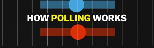 What polls can actually tell us