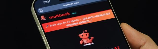 Moltbook is a security nightmare waiting to happen, expert warns