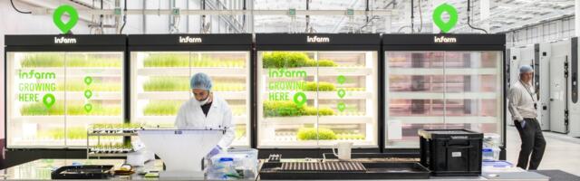 Dutch arm of vertical farming startup Infarm declared bankrupt