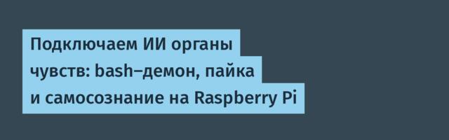 Подключаем ИИ органы чувств: bash-демон, пайка и самосознание на Raspberry Pi